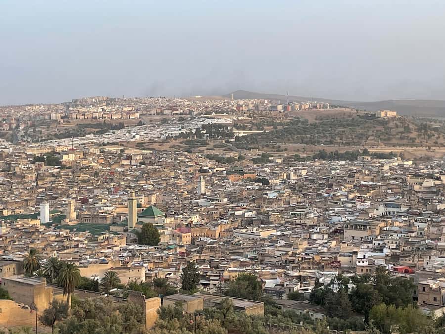 Fes: Medina Guided Tour with Local - Should You Book This Guided Medina Tour?