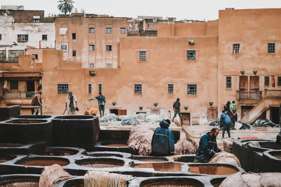 Fes: Royal Palace, Madrasa, Tannery & Souks and Medina Tour - Who This Tour Fits Best, and Who Might Want Another Plan
