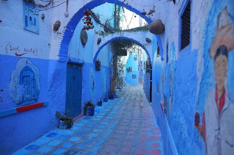 Fes to Chefchaouen Day Trip multi languages(EN/FR/ES/IT/AR) - Who should book this trip, and who might want a different plan