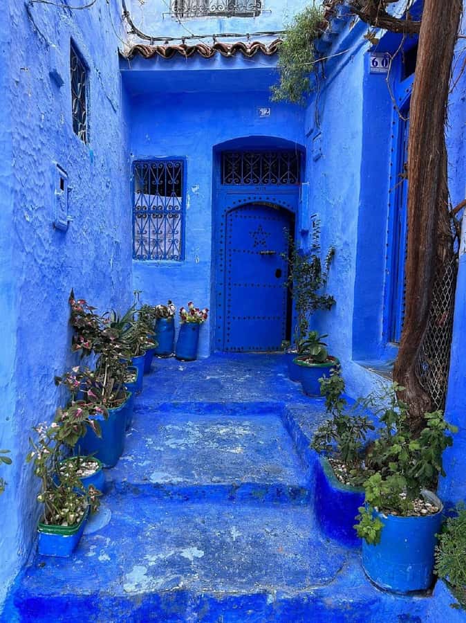 Fes to Chefchaouen Day Trip multi languages(EN/FR/ES/IT/AR) - 8 AM pickup and the road to Chefchaouen