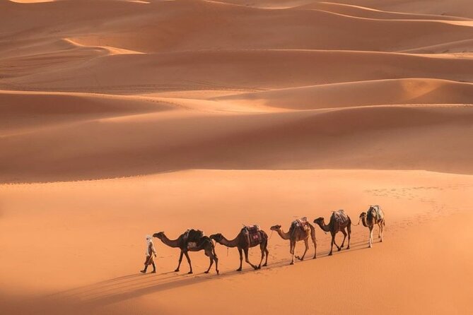 Fes To Marrakech: 3-Day Desert Tour - Day 2: Sunrise At Erg Chebbi, Todra Gorge Under The Cliffs, Then Dades Valley Views