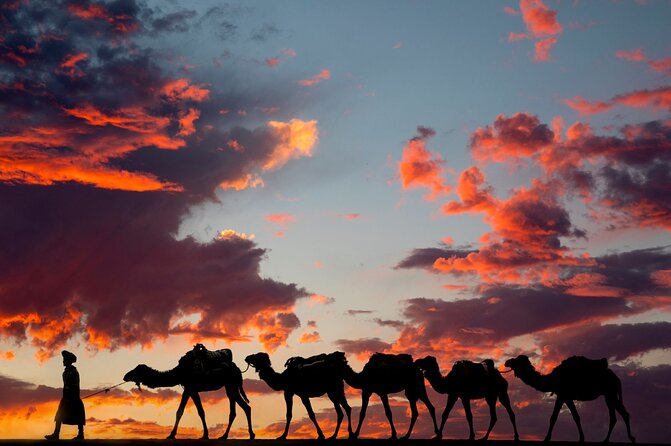 Fes To Marrakech: 3-Day Desert Tour - Day 3: Valley Of Roses, Ait Ben Haddou Kasbah Time, And Tizi nTichka Into Marrakech