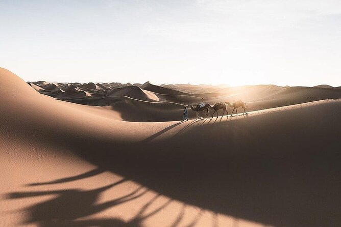 Fes To Marrakech: 3-Day Desert Tour - Price And Value: What $221 Buys In Real Terms