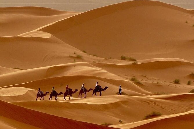 Fes To Marrakech: 3-Day Desert Tour - What You’ll Love Most, Based On What Actually Matters