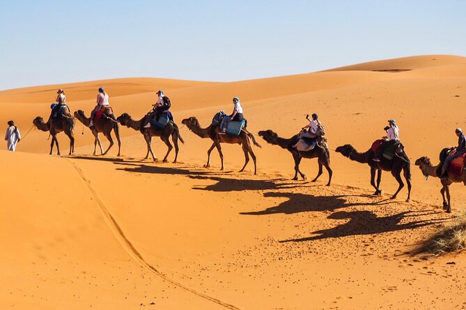 Fes To Marrakech : 3 Days Tour Via The Desert Of Merzouga & Camel - Merzouga camp night: what the included experience really means