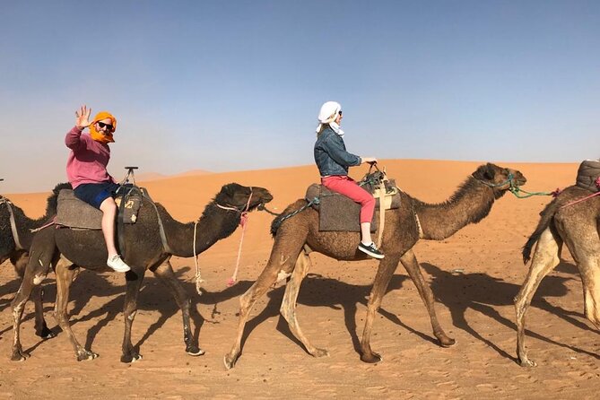 Fes To Marrakech : 3 Days Tour Via The Desert Of Merzouga & Camel - Daytime canyon break: Todgha/Toudgha Gorges and Dades Valley