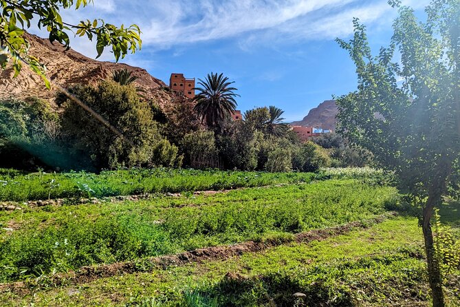 Fes To Marrakech : 3 Days Tour Via The Desert Of Merzouga & Camel - Ouarzazate, Taourirt, and the cinema museum stop