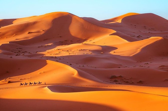 Fes to Marrakech desert tour 3 days - Value for about $391: what you pay for, and why it can still feel fair