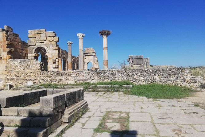 Fes to Volubilis, Moulay Idriss and Meknes Private Day Trip - Volubilis UNESCO Ruins: What You Can Do With About an Hour