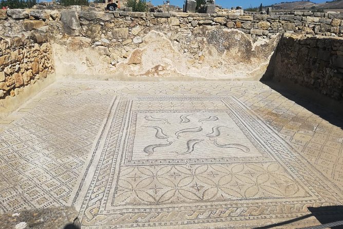 Fes to Volubilis, Moulay Idriss and Meknes Private Day Trip - Is $72.12 Per Person Good Value for a Private Day Trip?