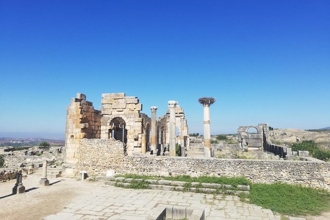 Fes to Volubilis, Moulay Idriss and Meknes Private Day Trip - Who This Trip Suits Best, and Who Might Want a Different Plan