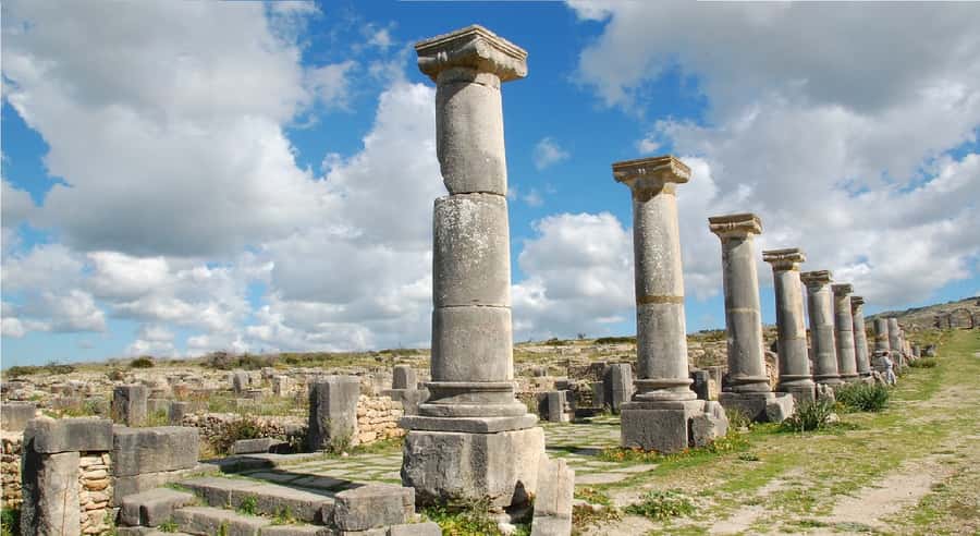 Fes: Volubilis Roman Ruins, Mouly Idriss, & Meknes Day Trip - Volubilis Roman Ruins: Tickets, Must-See Spots, and How to Walk the Site