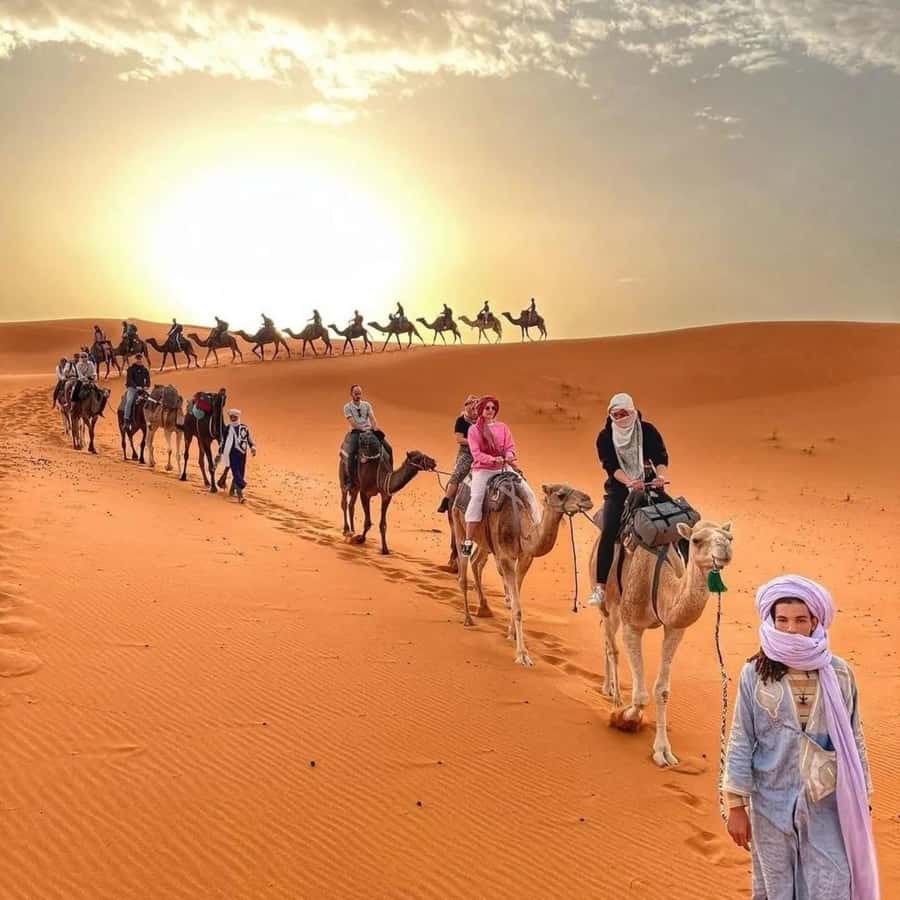 Fez: 2 Day-1 Night Luxury Sahara Desert Trip to Fez/Marakech - Price and value check for $159 per person