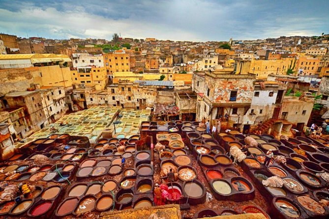 Fez Guided Tour with lunch from Casablanca - Chouara Tannery: Leather-Making Views and the Senses