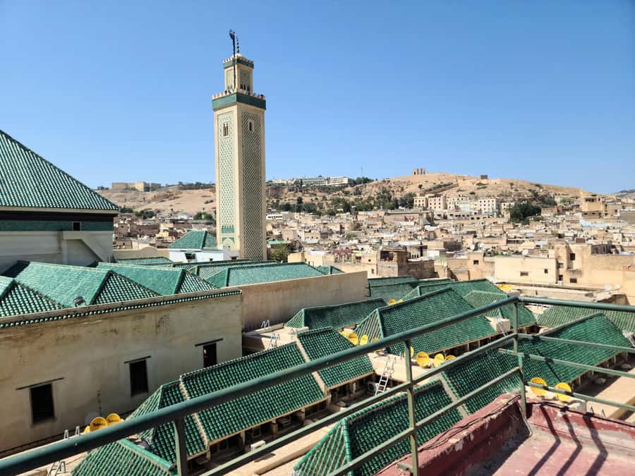 Fez: Guided Walking Tour of the Historic Medina - Tanneries in the Old Medina: leather processing, up close