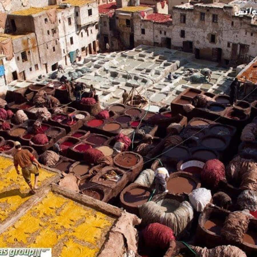 Fez: Guided Walking Tour of the Historic Medina - Free time after the tour: make it yours