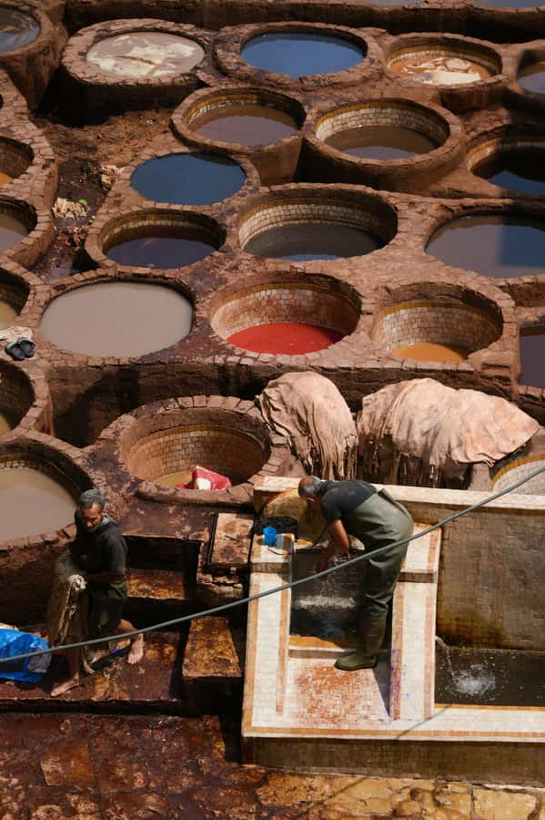 Fez: Guided Walking Tour of the Historic Medina - Price and logistics: $22 for structure, access, and context