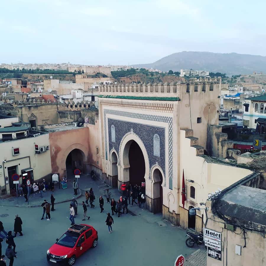 Fez: Half-Day City Private Walking Tour with a Guide - Bab Boujloud to the Jewish Quarter, the medina with guardrails