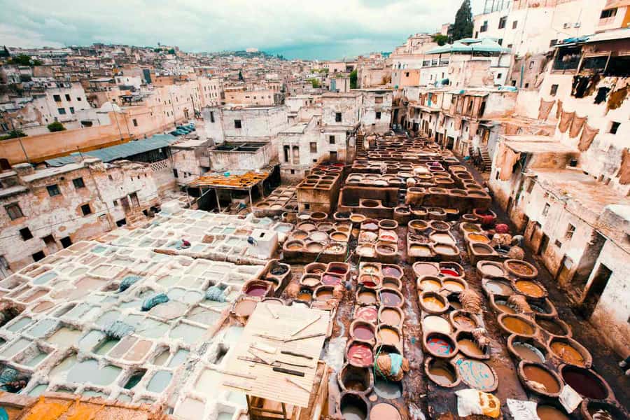 Fez: Half-Day Sightseeing Tour - Entering Fez the smart way, Bab Boujloud to the Medina circuit