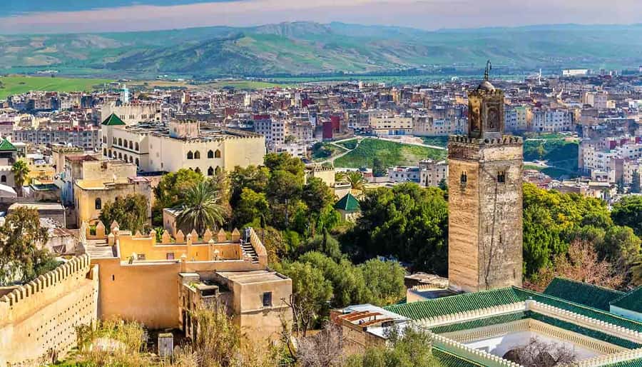 Fez: Half-Day Sightseeing Tour - Small group size, hotel pickup, and why it matters in the Medina