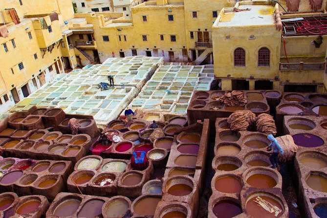 Fez Medina 4-Hour Guided Walking Tour - Fontaine Nejjarine and the price of admission you should budget