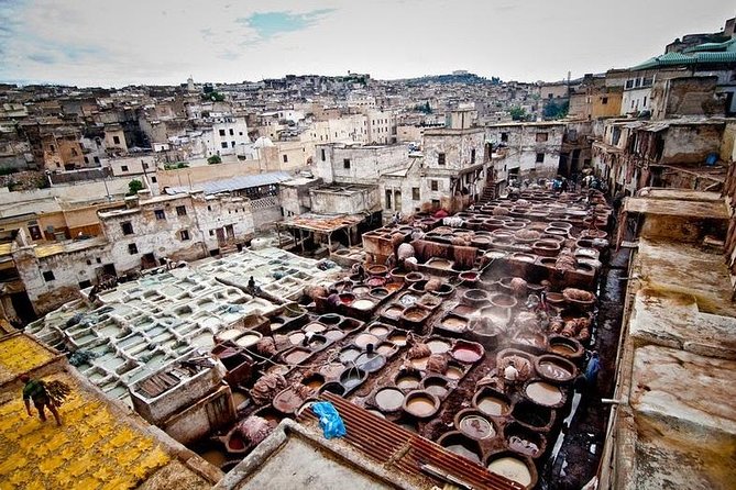 Fez Medina 4-Hour Guided Walking Tour - Mosque stops: stunning architecture, but strict entry rules
