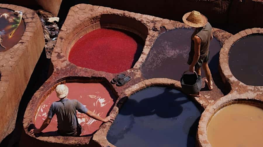 Fez Medina Guided Tour - Price and Time: What $9 Covers in the Real World
