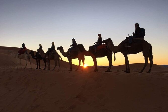 Fez to Marrakech via Merzouga Desert - 3 Day Desert Tour - Day 1: Fez, Ifrane, Azrou Monkeys, Midelt Passes, and Sunset Camels in Merzouga