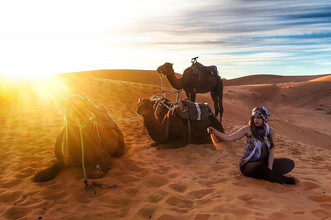 Fez to Marrakech via Merzouga Desert - 3 Day Desert Tour - Price and Logistics: What $221 Gets You, and What It Does Not