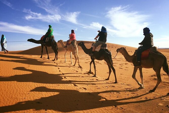 Fez to Marrakech via Merzouga Desert - 3 Day Desert Tour - Day 3: One Thousand Kasbahs Road, Taourirt in Ouarzazate, Ait Ben Haddou, and Arrival in Marrakech
