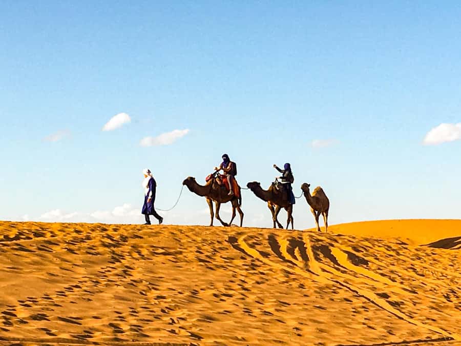 From Agadir: 4×4 Jeep Sahara Desert Tour with Lunch - Key Points You’ll Care About