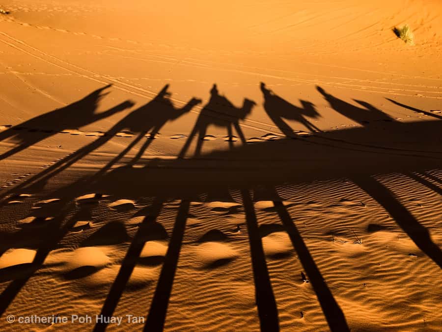 From Agadir: 4×4 Jeep Sahara Desert Tour with Lunch - Pickup and Timing: What Your Day Feels Like