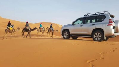 4×4 Jeep Sahara Desert Tour with Lunch