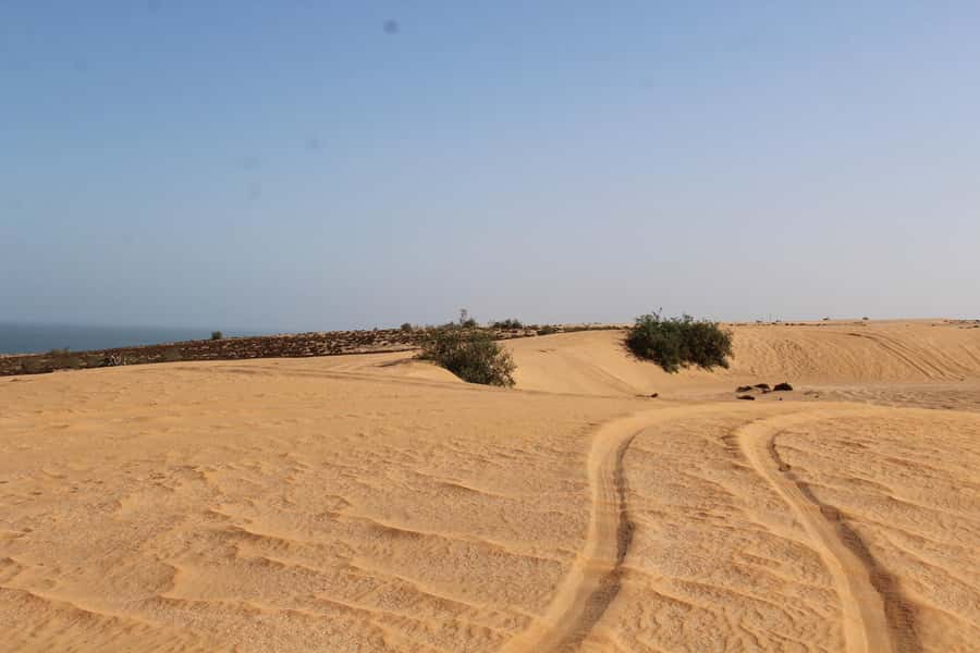 From Agadir: 4×4 Sahara Desert Safari with Lunch and Pickup - Price and value for $49: what you get in one day