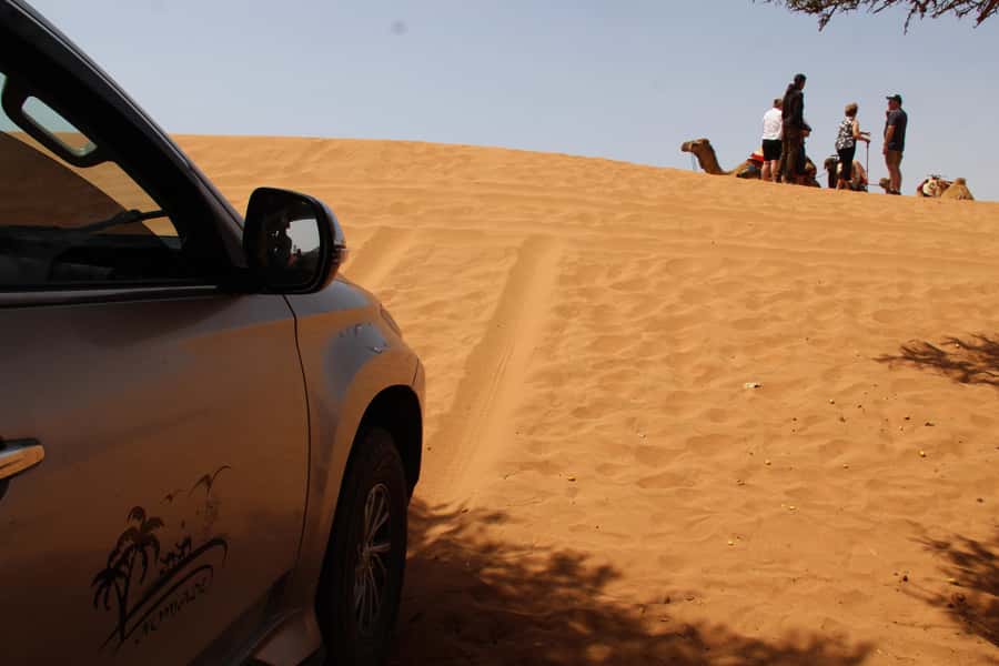 From Agadir: 4×4 Sahara Desert Safari with Lunch and Pickup - Oued Massa National Park: birds, the river, and dam Youssef Ibn Tachfin