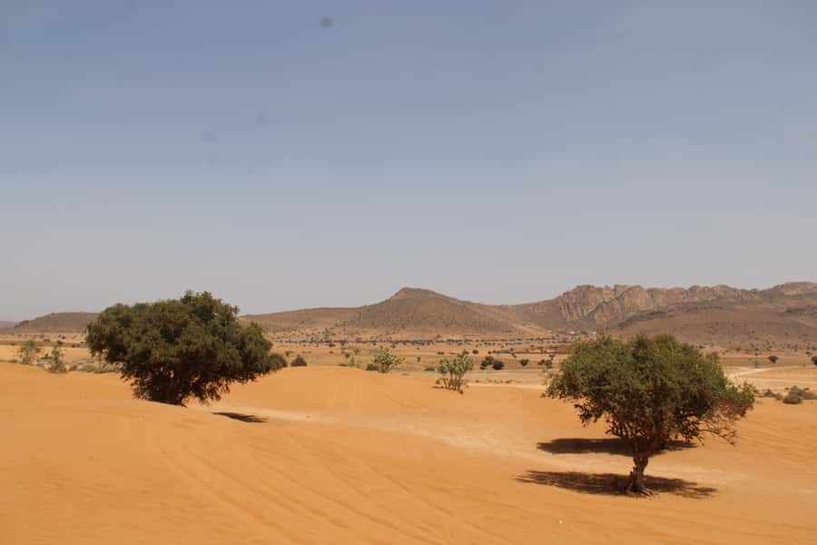 From Agadir: 4×4 Sahara Desert Safari with Lunch and Pickup - Tiznit’s old walled medina: quick silver shopping, big atmosphere