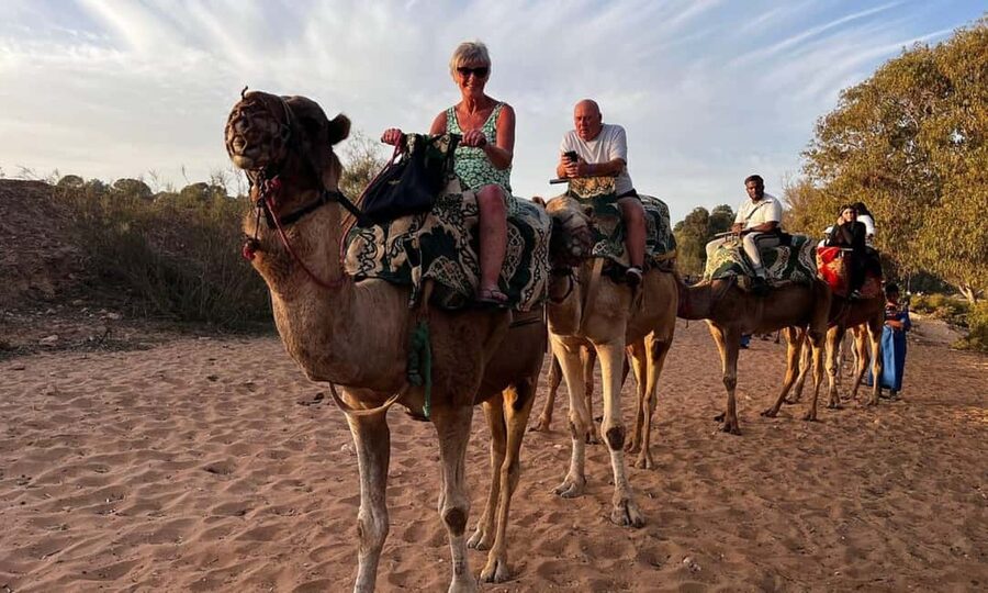 From Agadir: Camel Ride and Flamingo Trek - Quick hits