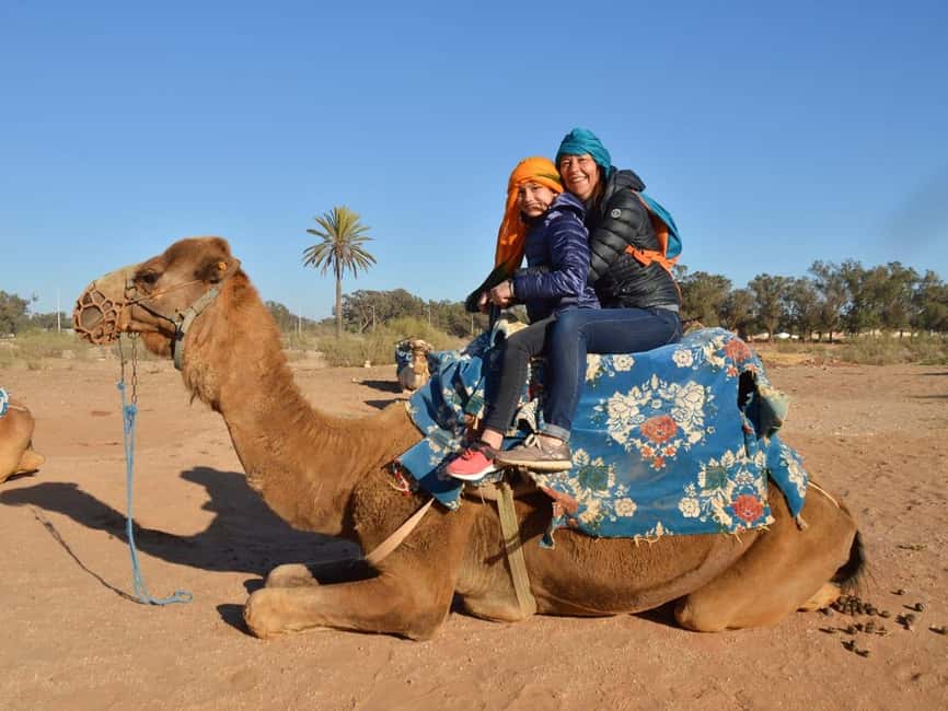 From Agadir: Camel Ride and Flamingo Trek - From Agadir to the Souss River: how the experience is set up