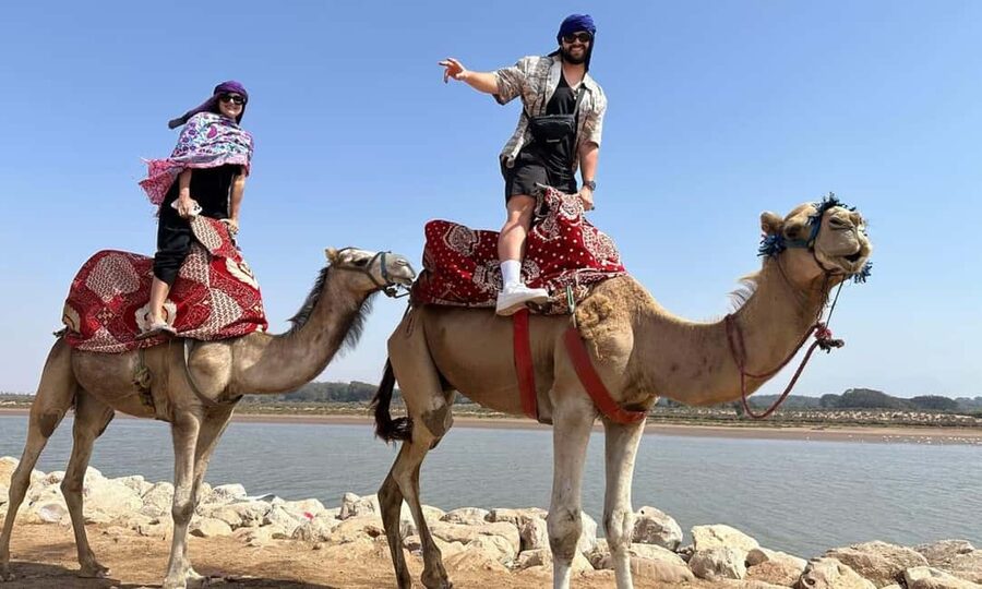 From Agadir: Camel Ride and Flamingo Trek - Price and value: what you’re really paying for at around $19