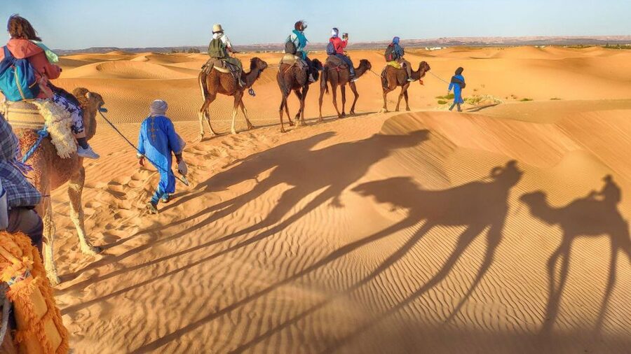 From Agadir: Camel Ride and Flamingo Trek - Best time and heat reality in Agadir