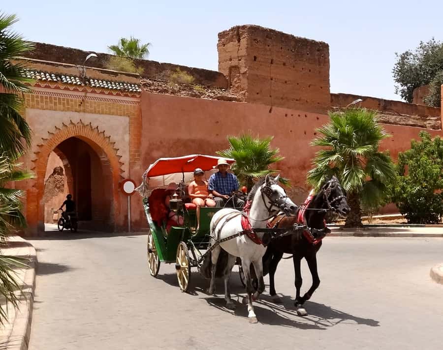 From Agadir: Guided Day Trip to Marrakech - The Agadir-to-Marrakech Rhythm: Early Start, Big Day