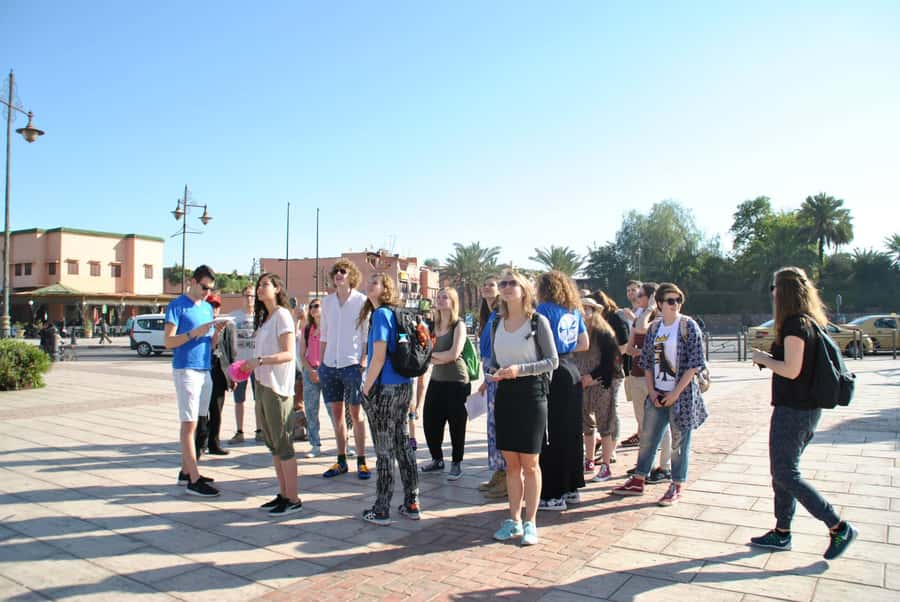 From Agadir: Guided Day Trip to Marrakech - Bahia Palace Courtyards: Moroccan Architecture Up Close