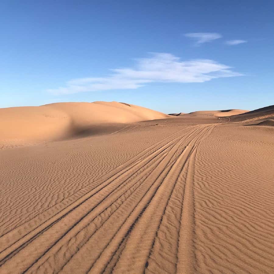 From Agadir: Jeep Desert Safari with Lunch and Camel Ride - Why this Agadir-to-Massa day feels like Morocco in fast forward