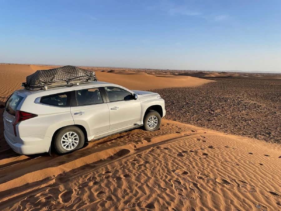 From Agadir: Jeep Desert Safari with Lunch and Camel Ride - Massa Valley and Souss-Massa National Park: 4x4 time where wildlife is possible