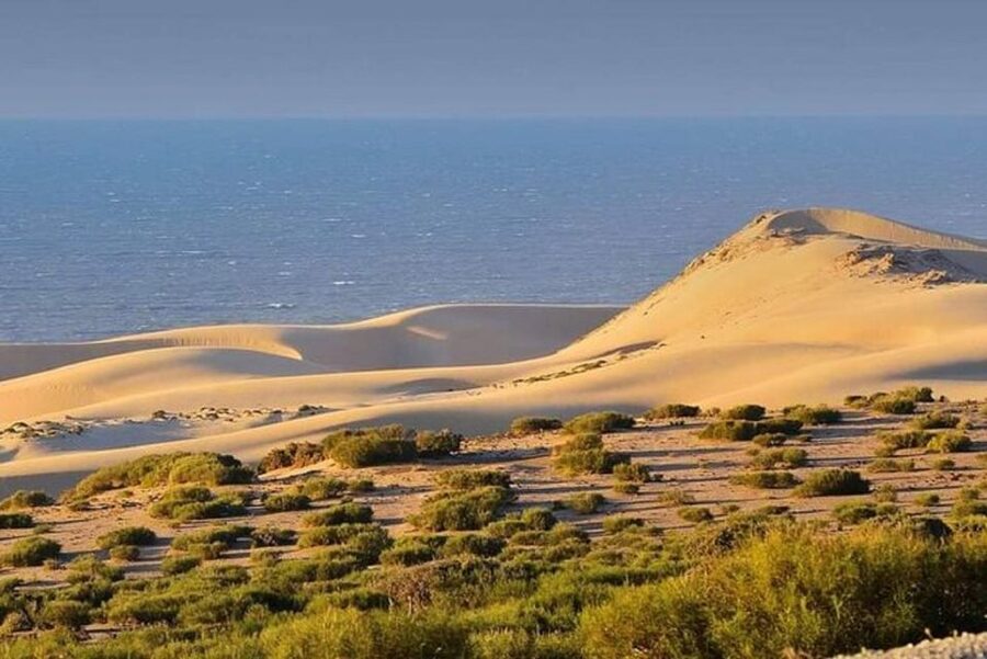 From Agadir: Jeep Desert Safari with Lunch and Camel Ride - Price and logistics in plain terms: what you’re paying for at $56