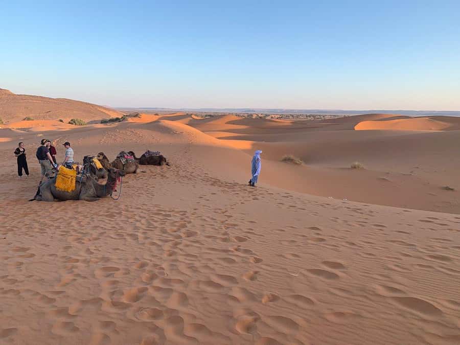 From Agadir: Jeep Desert Safari with Lunch and Camel Ride - Who this Jeep safari from Agadir suits best, and who should choose something else