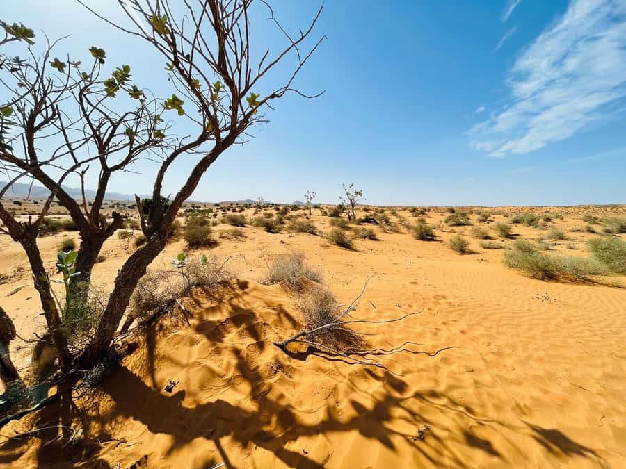 From Agadir: Jeep Desert Safari with Lunch and Camel Ride - Fishermen’s caves near the coast and Sidi Rbat beach for shell-hunting