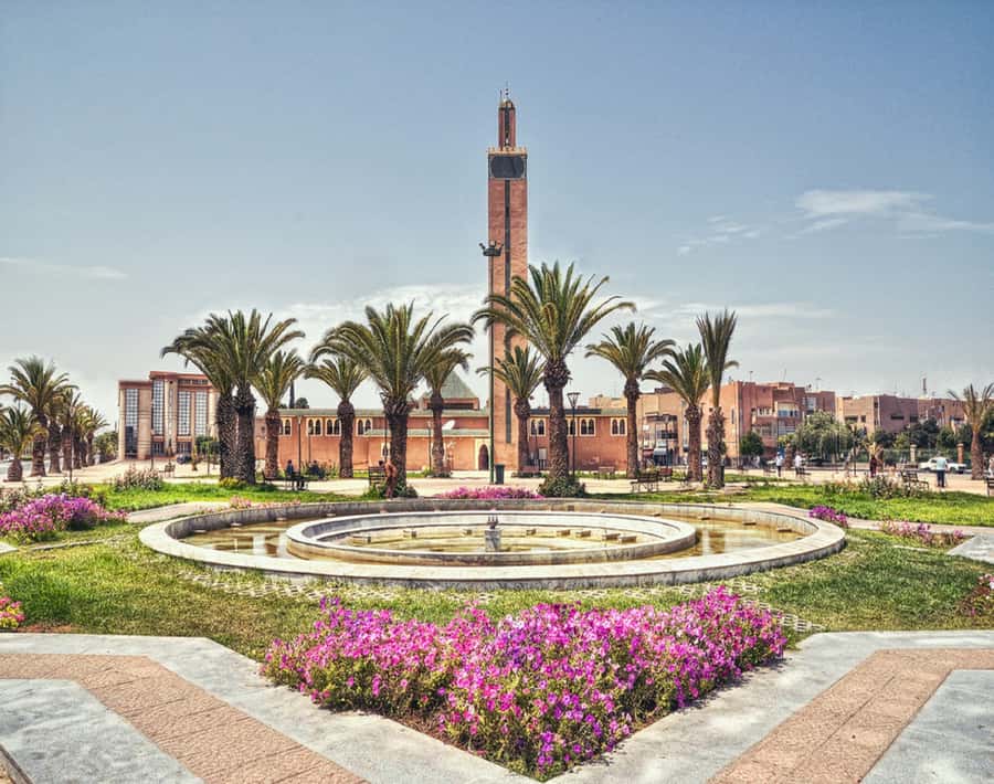 From Agadir: Legzira Beach & Tiznit Day Trip with Lunch - Guide and driving: calm, helpful, and sometimes with a bonus stop