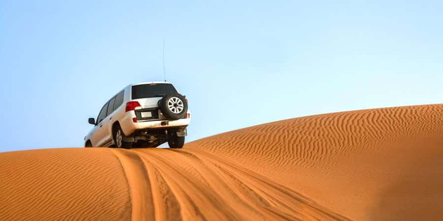 From Agadir: Mini Sahara Day Tour with Lunch - Souss-Massa River: Migrating Birds and a Calm Pause