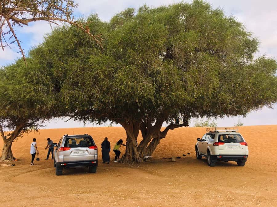 From Agadir: Mini Sahara Day Tour with Lunch - Rsmouka Small Sahara Dunes and Optional Camel Rides